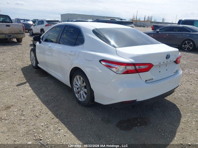 4T1B31HK1JU003703 Toyota Camry Hybrid Le