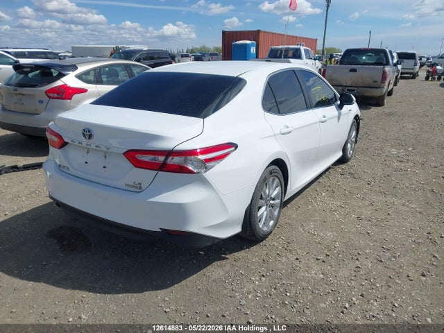 4T1B31HK1JU003703 Toyota Camry Hybrid Le