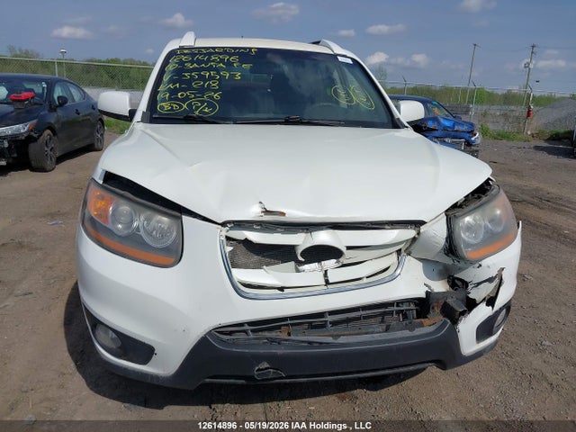 Продажа на аукционе авто 2010 Hyundai Santa Fe Gls, vin: 5NMSGDAG3AH359593, номер лота: 12614896