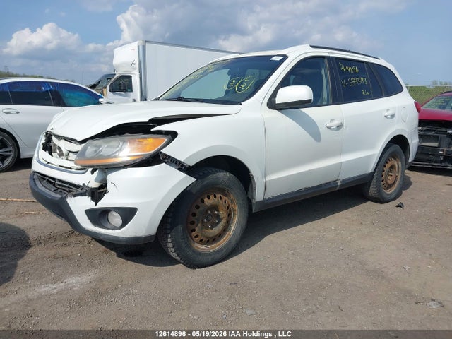 Продажа на аукционе авто 2010 Hyundai Santa Fe Gls, vin: 5NMSGDAG3AH359593, номер лота: 12614896
