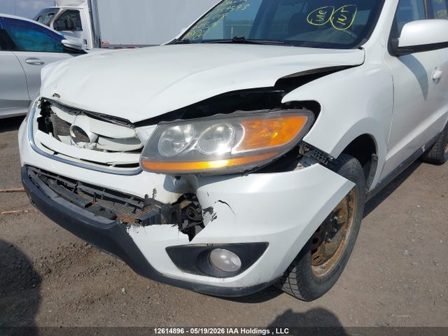 Продажа на аукционе авто 2010 Hyundai Santa Fe Gls, vin: 5NMSGDAG3AH359593, номер лота: 12614896