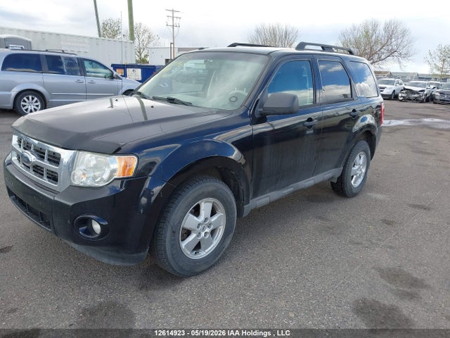Aukcja sprzedaży 2009 Ford Escape Xlt, vin: 1FMCU03G29KC37614, numer aukcji: 12614923