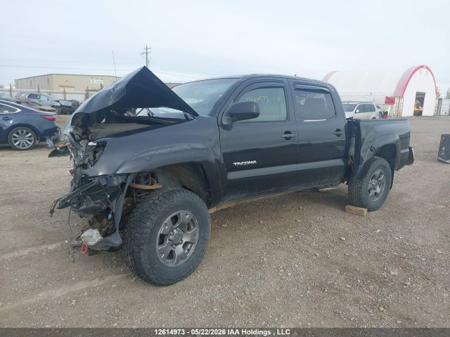 12614973 :رقم المزاد ، 5TELU42NX6Z155021 vin ، 2006 Toyota Tacoma V6 مزاد بيع