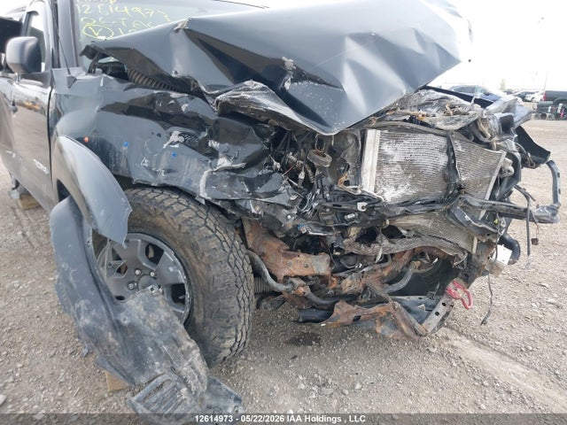 12614973 :رقم المزاد ، 5TELU42NX6Z155021 vin ، 2006 Toyota Tacoma V6 مزاد بيع