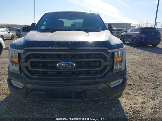 Продаж на аукціоні авто 2021 Ford F-150 Xlt, vin: 1FTFW1E83MFB33495, номер лоту: 12608550