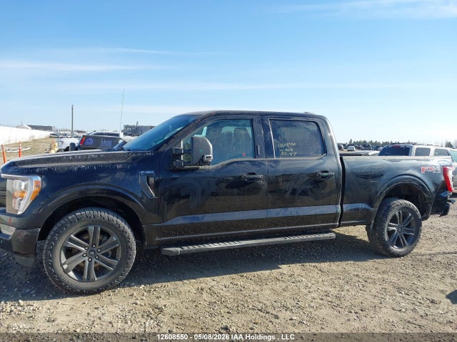 Продаж на аукціоні авто 2021 Ford F-150 Xlt, vin: 1FTFW1E83MFB33495, номер лоту: 12608550