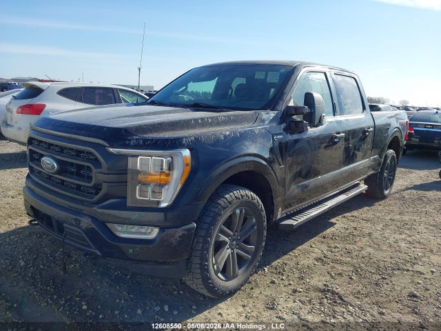 Продаж на аукціоні авто 2021 Ford F-150 Xlt, vin: 1FTFW1E83MFB33495, номер лоту: 12608550