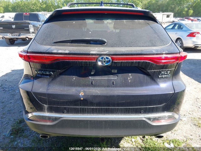 12615547 :رقم المزاد ، JTEAAAAHXMJ073500 vin ، 2021 Toyota Venza Xle مزاد بيع