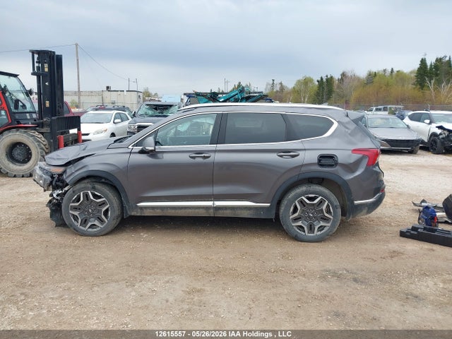 KM8S3DA15MU009639 Hyundai Santa Fe Sel Premium