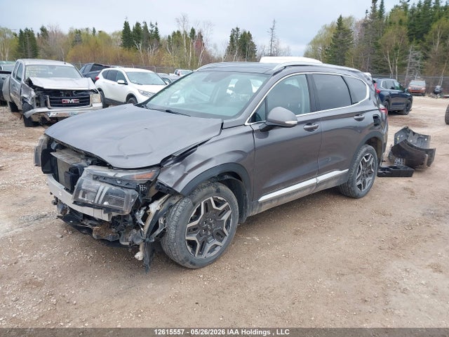 KM8S3DA15MU009639 Hyundai Santa Fe Sel Premium