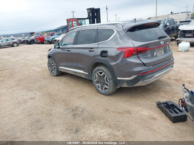 KM8S3DA15MU009639 Hyundai Santa Fe Sel Premium