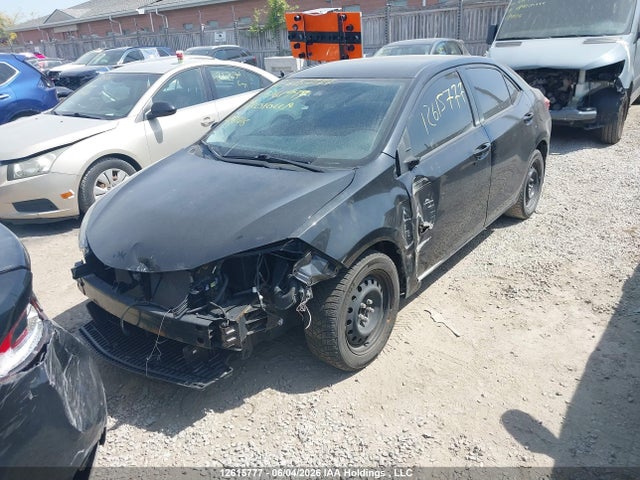 2T1BURHE3KC161999 Toyota Corolla