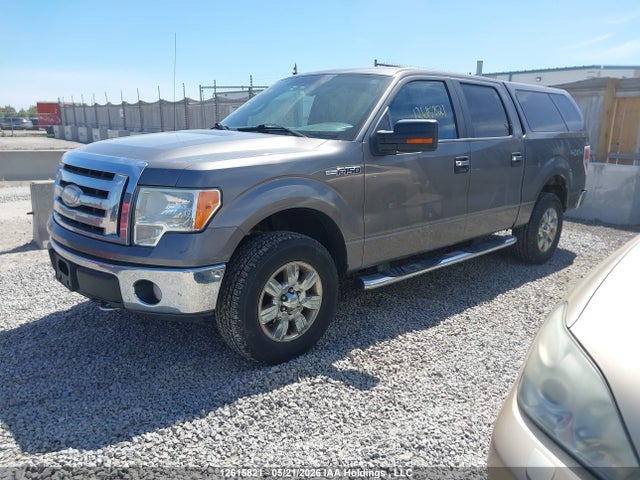 Продажа на аукционе авто 2009 Ford F-150 Xlt, vin: 1FTRW14879FB42691, номер лота: 12615821