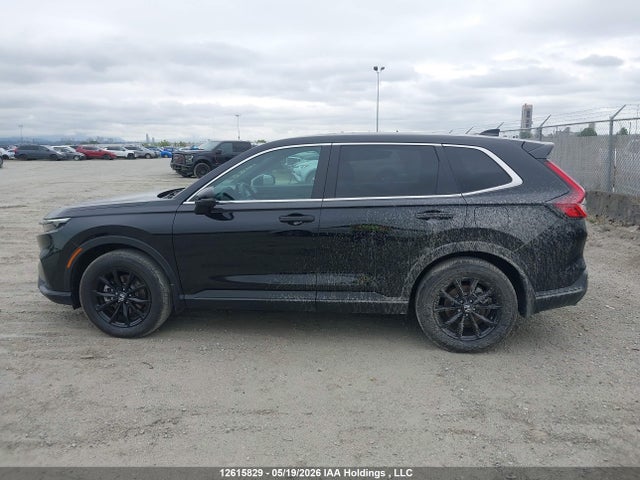 12615829 :رقم المزاد ، 2HKRS6H76SH230041 vin ، 2025 Honda Cr-v Exl مزاد بيع