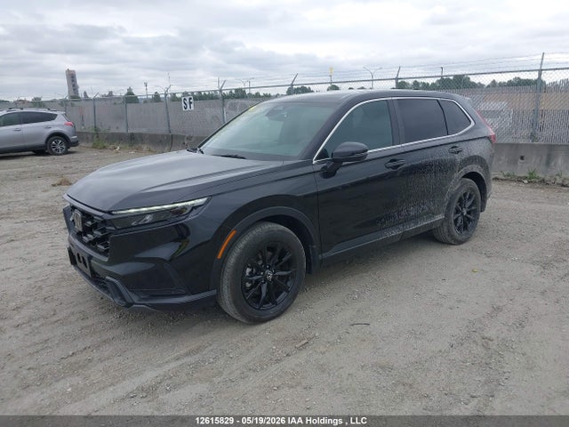 12615829 :رقم المزاد ، 2HKRS6H76SH230041 vin ، 2025 Honda Cr-v Exl مزاد بيع
