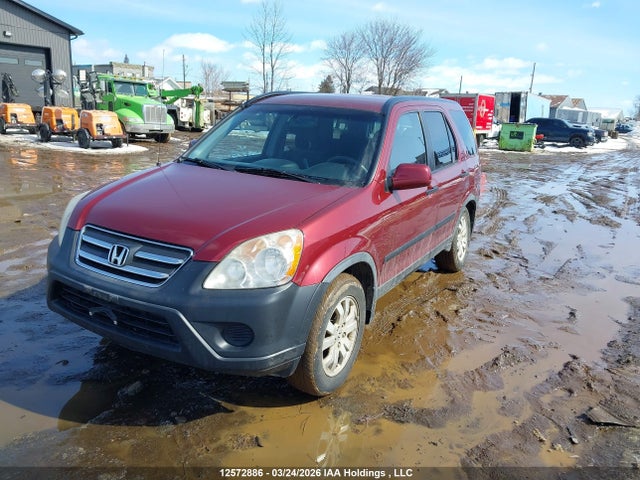 2006 Honda Cr-v Ex მანქანა იყიდება აუქციონზე, vin: JHLRD78856C812550, აუქციონის ნომერი: 12572886
