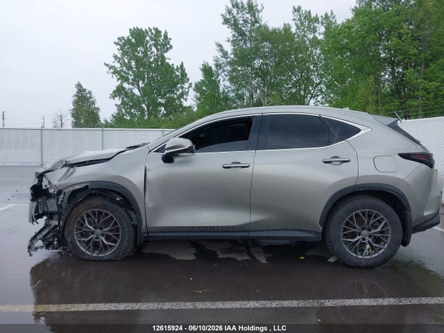 Продаж на аукціоні авто 2024 Lexus Nx 350h 350h, vin: 2T2GKCEZ6RC027297, номер лоту: 12615924