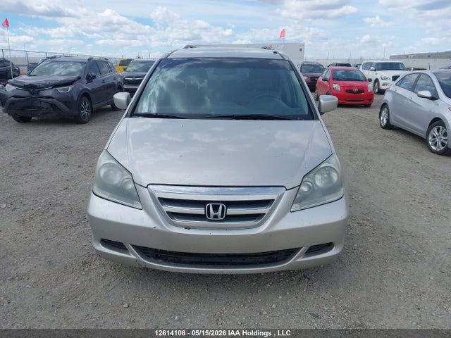 Продажа на аукционе авто 2006 Honda Odyssey Ex, vin: 5FNRL38496B407591, номер лота: 12614108