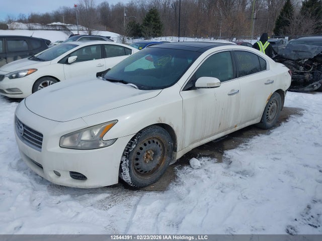 Продажа на аукционе авто 2010 Nissan Maxima 3.5 Sv, vin: 1N4AA5AP3AC852679, номер лота: 12544391