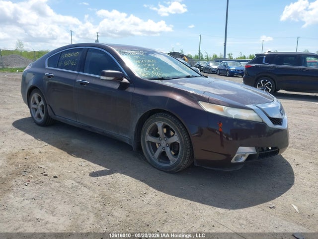 12616010 :رقم المزاد ، 19UUA96519A800465 vin ، 2009 Acura Tl مزاد بيع