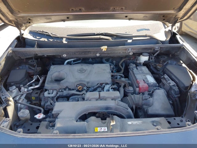 2021 Toyota Rav4 Xle/xle Premium მანქანა იყიდება აუქციონზე, vin: 2T3R1RFV4MC232146, აუქციონის ნომერი: 12616123