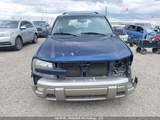 Aukcja sprzedaży 2003 Chevrolet Trailblazer Ls/lt/ltz, vin: 1GNDT13S432131735, numer aukcji: 12616143