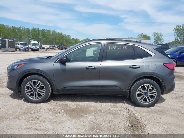 Продаж на аукціоні авто 2021 Ford Escape Sel, vin: 1FMCU9H6XMUA41566, номер лоту: 12616148