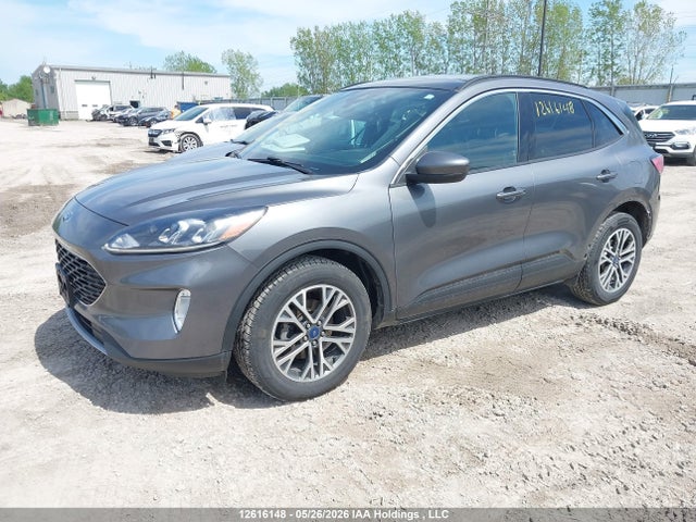 Продаж на аукціоні авто 2021 Ford Escape Sel, vin: 1FMCU9H6XMUA41566, номер лоту: 12616148