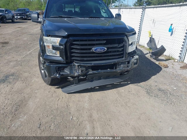 12616156 :رقم المزاد ، 1FTEW1EF1GFB86288 vin ، 2016 Ford F150 Supercrew مزاد بيع