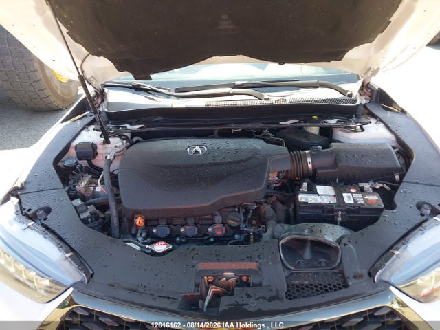 19UUB3F81LA802177 Acura Tlx Advance/pmc Edition