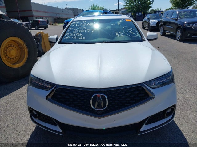 19UUB3F81LA802177 Acura Tlx Advance/pmc Edition