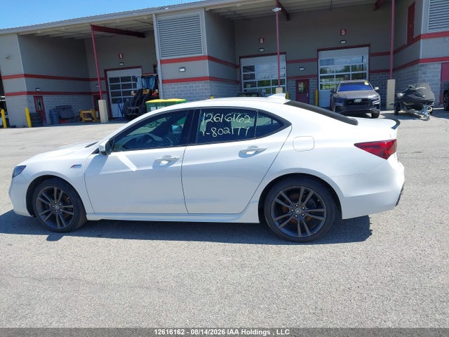 19UUB3F81LA802177 Acura Tlx Advance/pmc Edition