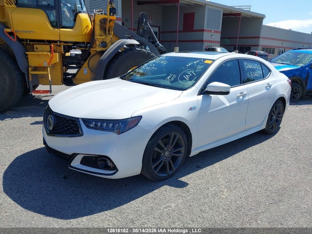 19UUB3F81LA802177 Acura Tlx Advance/pmc Edition