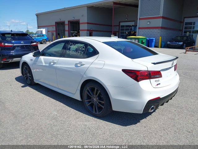 19UUB3F81LA802177 Acura Tlx Advance/pmc Edition
