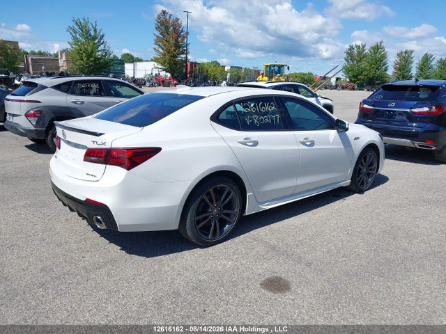 19UUB3F81LA802177 Acura Tlx Advance/pmc Edition