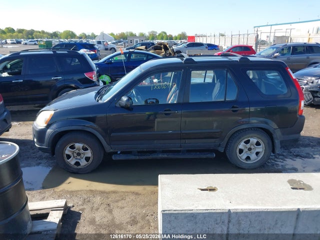 2006 Honda Cr-v Se მანქანა იყიდება აუქციონზე, vin: JHLRD78506C803647, აუქციონის ნომერი: 12616170