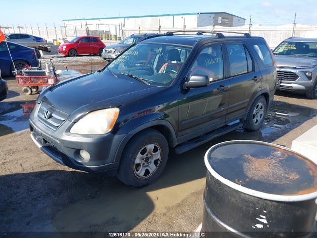 2006 Honda Cr-v Se მანქანა იყიდება აუქციონზე, vin: JHLRD78506C803647, აუქციონის ნომერი: 12616170
