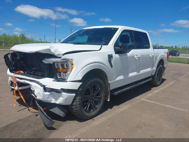 12616213 :رقم المزاد ، 1FTEW1EPXMFC82845 vin ، 2021 Ford F150 Supercrew مزاد بيع