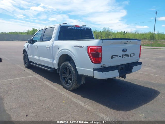12616213 :رقم المزاد ، 1FTEW1EPXMFC82845 vin ، 2021 Ford F150 Supercrew مزاد بيع