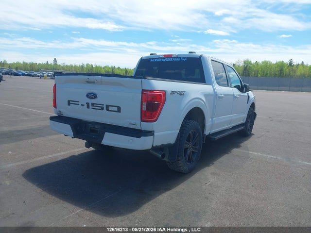 12616213 :رقم المزاد ، 1FTEW1EPXMFC82845 vin ، 2021 Ford F150 Supercrew مزاد بيع