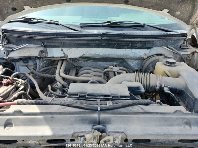 12616216 :رقم المزاد ، 1FTNF1CF2CKD50510 vin ، 2012 Ford F150 مزاد بيع