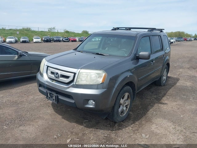 12616224 :رقم المزاد ، 5FNYF4H6XBB504898 vin ، 2011 Honda Pilot مزاد بيع