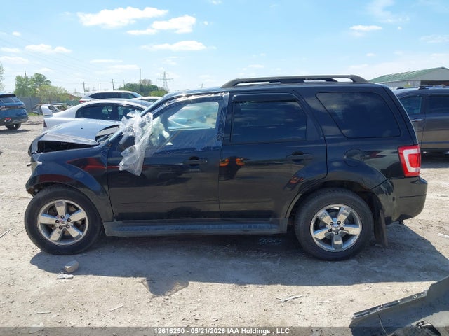 Продаж на аукціоні авто 2011 Ford Escape Xlt, vin: 1FMCU0DG8BKC15217, номер лоту: 12616250