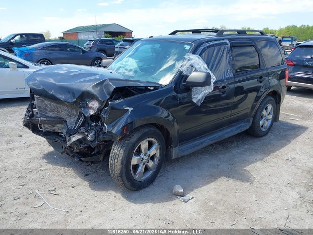 Продаж на аукціоні авто 2011 Ford Escape Xlt, vin: 1FMCU0DG8BKC15217, номер лоту: 12616250