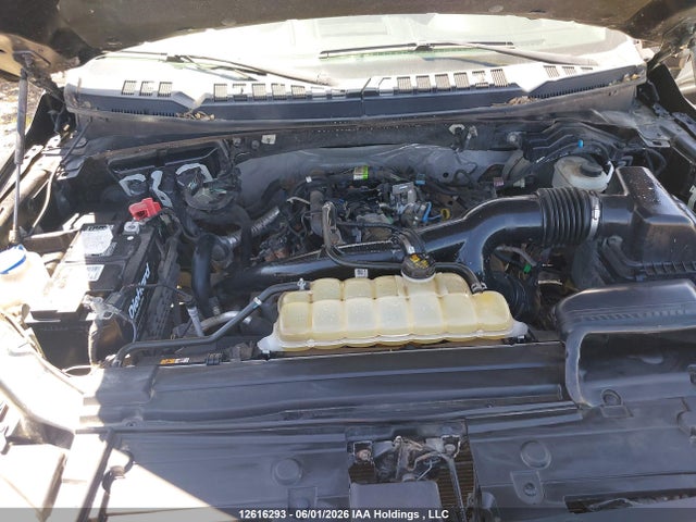 12616293 :رقم المزاد ، 1FTEW1EP5KFB38679 vin ، 2019 Ford F150 Supercrew مزاد بيع