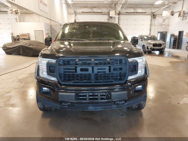 12616293 :رقم المزاد ، 1FTEW1EP5KFB38679 vin ، 2019 Ford F150 Supercrew مزاد بيع