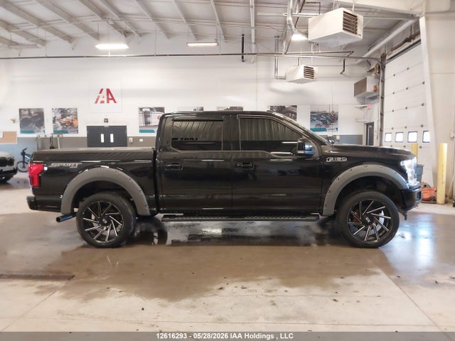 12616293 :رقم المزاد ، 1FTEW1EP5KFB38679 vin ، 2019 Ford F150 Supercrew مزاد بيع