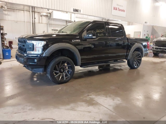 12616293 :رقم المزاد ، 1FTEW1EP5KFB38679 vin ، 2019 Ford F150 Supercrew مزاد بيع