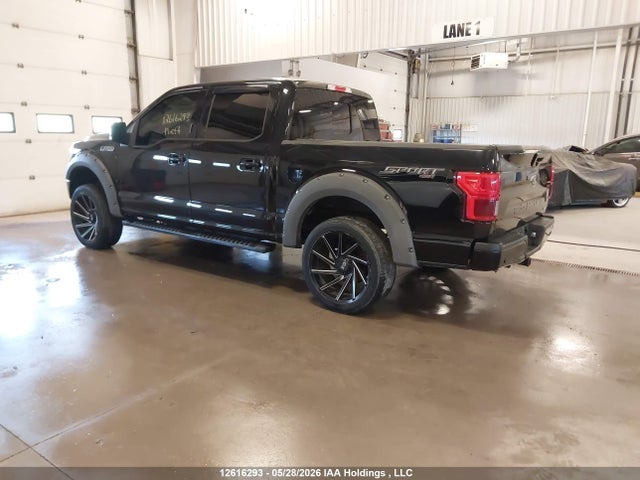 12616293 :رقم المزاد ، 1FTEW1EP5KFB38679 vin ، 2019 Ford F150 Supercrew مزاد بيع