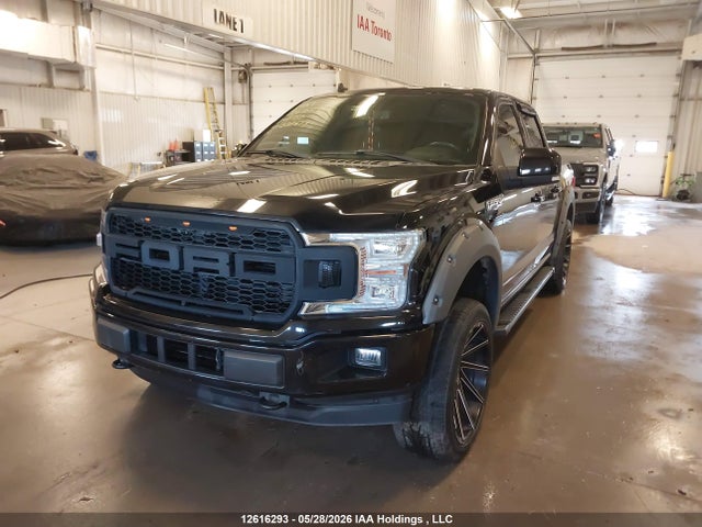 12616293 :رقم المزاد ، 1FTEW1EP5KFB38679 vin ، 2019 Ford F150 Supercrew مزاد بيع